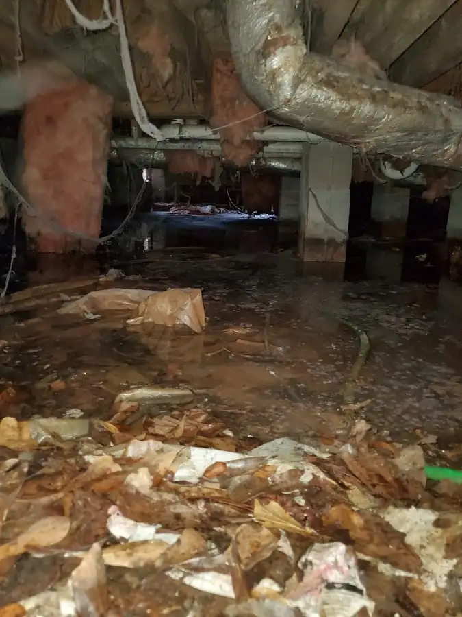 Crawl space flood assessment for Commercial Water Damage Restoration in Bayou Blue