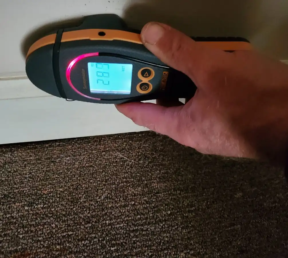 Moisture detection at baseboard during Burst Pipe Cleanup in Bayou Blue