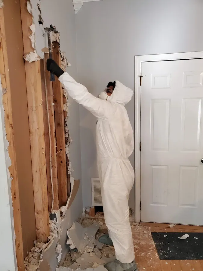 Water Damage Restoration services in Bayou Blue, LA